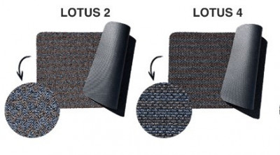 lotus5.jpg